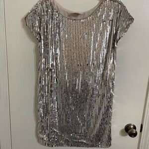 Silver Sequin Dress